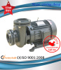 Electric In-Line Water Pump