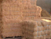 Coconut Fiber - Best Quality - Bottom Price