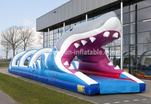 Inflatable shark water slide slip