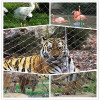 Wire Rope Mesh Fence For Wildlife Zoo Park