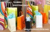 Teamway Laminated Shopping Bags Stitchbond Non woven Fabric