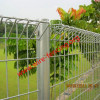 hot dipped galvanized or powder coating top roll fence