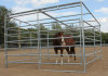 High Quality Hot Dipped Horse Fence
