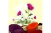 Customized Modern BeautifulRed Flower Interior Decoration Wallpapers / Stickers 5JJ01-001S