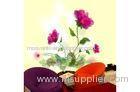 Customized Modern BeautifulRed Flower Interior Decoration Wallpapers / Stickers 5JJ01-001S