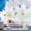 Flower Series Custom Size Interior Decoration Wallpapers, Whole Wall Sticker DJ67-001S