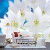 Flower Series Custom Size Interior Decoration Wallpapers, Whole Wall Sticker DJ67-001S