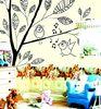 OEM Cartoon Interior Decoration Wallpapers For Children Bedroom, Study Room KT023