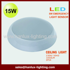 17W 325mm LED ceiling lamp