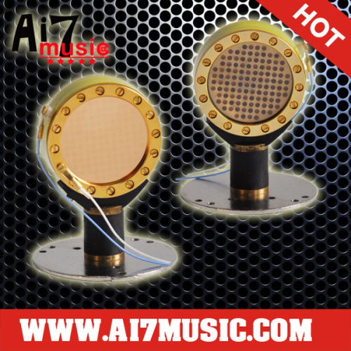 AI7MUSIC Voice Head of Microphones
