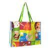 Colorful Recycled Non Woven Bag
