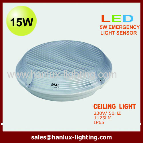 AC85-265V 17W IP65 LED ceiling lights