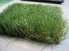 Green , PP + net cloth backing Indoor Synthetic Grass Environmental friendly