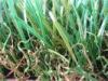 Natural Looking Residential Artificial Grass / Fake Grass For House 11000dtex , 12800dtex