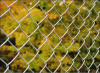 export Chain Link Fence