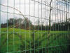 Export Welded Wire Fence