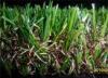 Green Landscaping Artificial Grass Lawn