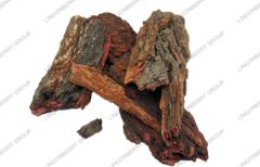 Pine Bark Extract / Latin Name: Larix Gmelini