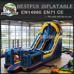 Attractive inflatable dolphin slide with pool