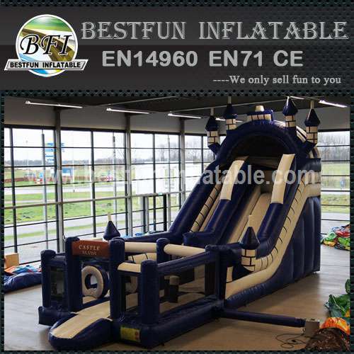 Exciting Big Inflatable Castle Slide