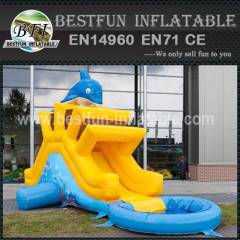 Lovely animaled inflatable dolphin sliding from china