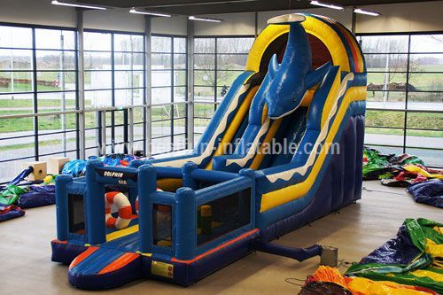 Attractive inflatable dolphin slide with pool