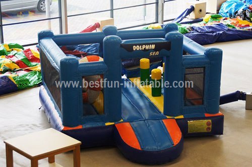 Attractive inflatable dolphin slide with pool