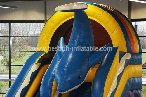 Attractive inflatable dolphin slide with pool