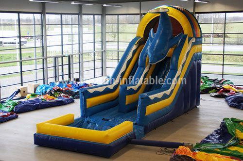 Attractive inflatable dolphin slide with pool