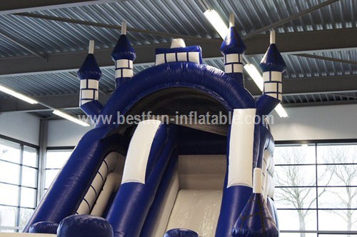 Exciting Big Inflatable Castle Slide