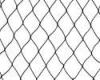 black Polyethylene Anti bird Bush / Plant protective netting for fruit trees