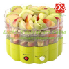 Green color food dehydrator maker