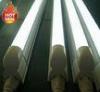 1700Lm - 1900Lm 1200mm 4 feet T5 LED Tube 18W for Advertisement box IP44