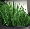 Green Football Artificial Grass