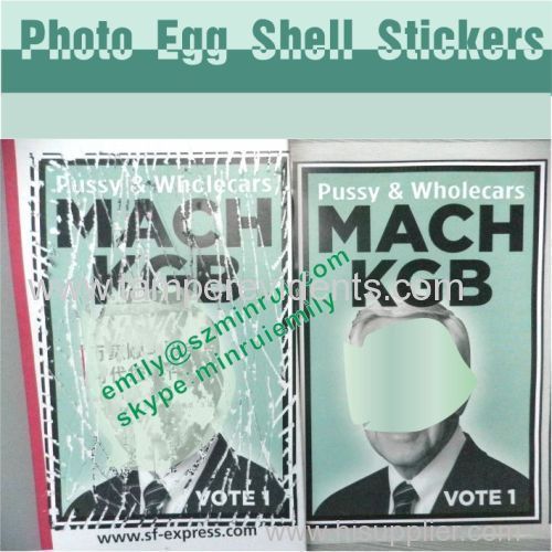 Custom Full Color Printing Photo Egg Shell Stickers For Vote Advertisment With Strong Adhesive