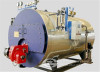 15t gas fired hot water boiler