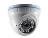 Fixed Lens Dome IP Cameras R-F20d-Trsee-CCTV-Camera