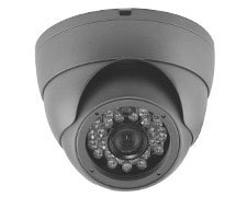 Fixed Lens Dome IP Camera R-40d-Trsee-CCTV-Camera