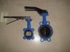 Europe type Class125 / ANSI B16.2 / Class250 Handle / Gear Cast Iron Butterfly Valve