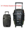15inch portable speaker with battery/wireless microphone