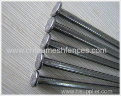 5kg Package Common Iron Nails