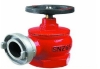 SN50 Indoor fire hydrant