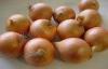 Round Golden Natural Fresh Onion For Mexican Cuisine Contains Fibre And Fat