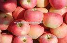 Natural Seasonable Fresh Organic Fuji Apple Vitamin C , Zinc Anti-Cancer