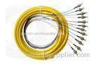 PVC, OM1, OM2 or OM3 Bundle Multi - Fiber Optic Pigtail for Video Transmission