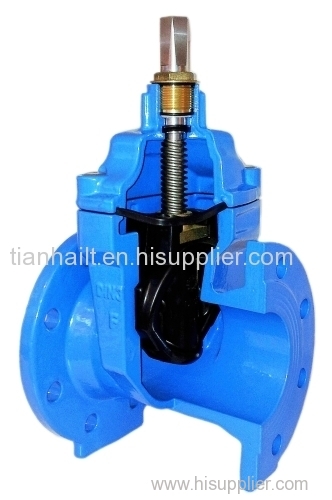 Resilient Seated Gate Valve