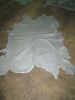 wet and dry Salted Animal Hides/Skin