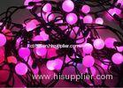 Christmas LED Strip Lights RGBW Cold White 24V LED Bulb String Light