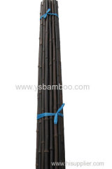 straight and strong bamboo poles