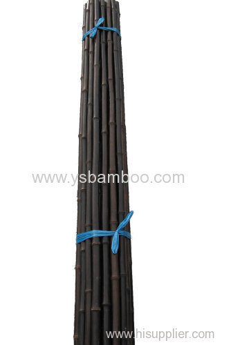 straight and strong bamboo poles